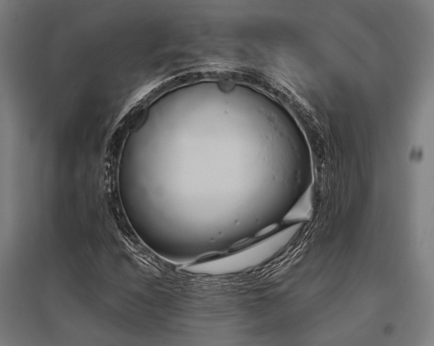 X0000096161208200801181217