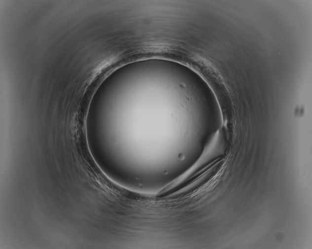 X0000096161210200801181217