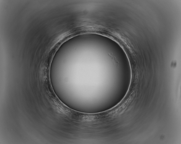 X0000096161211200801181217