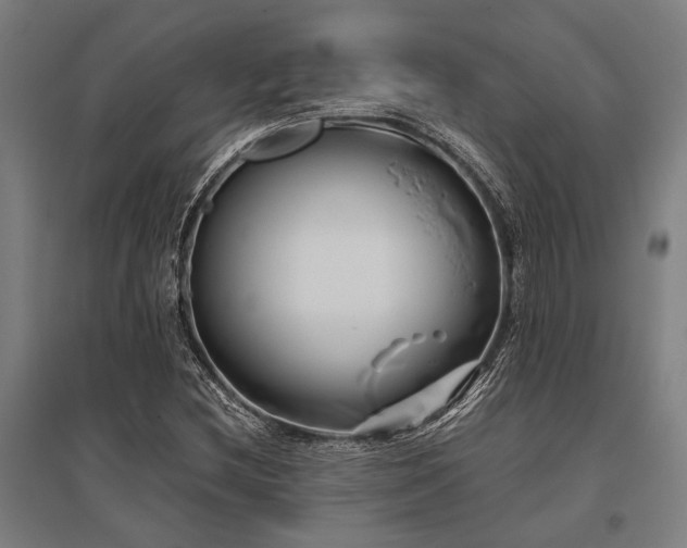 X0000096161212200801181217