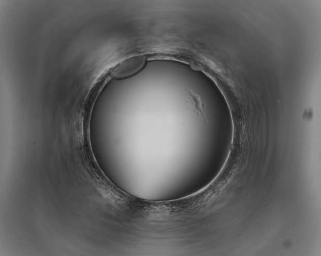 X0000096161214200801181217