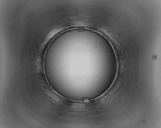 X0000096161215200801181217