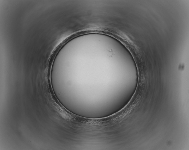X0000096161216200801181217