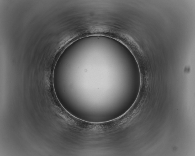 X0000096161217200801181217