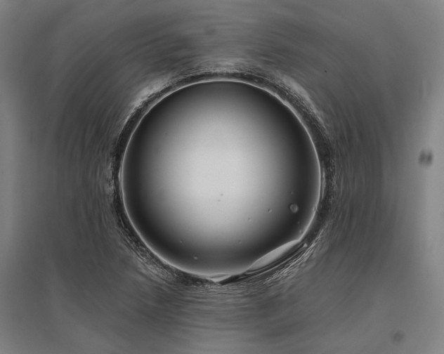 X0000096161218200801181217