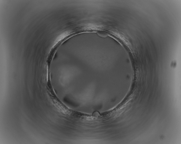 X0000096161219200801181217
