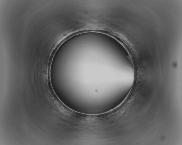 X0000096161220200801181217
