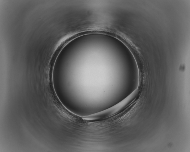 X0000096161222200801181217