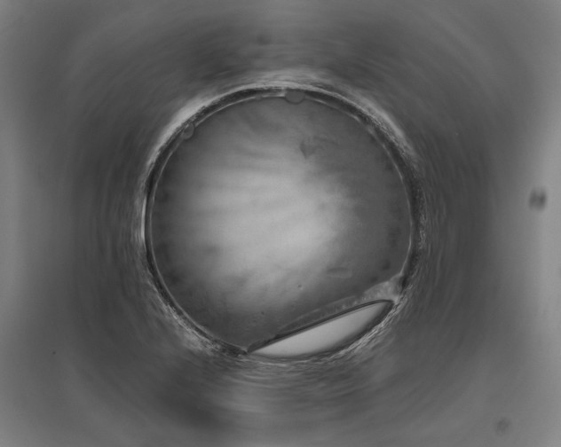 X0000096161224200801181217