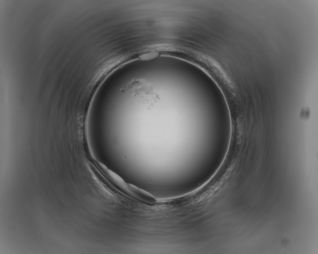 X0000096161225200801181217