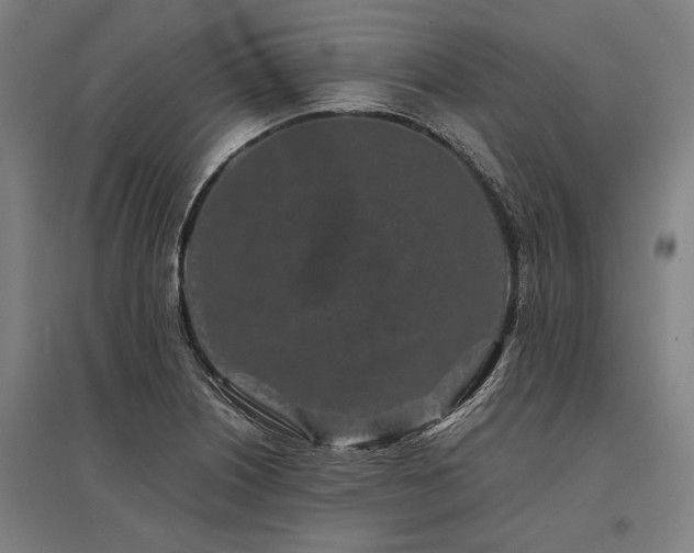 X0000096161226200801181217