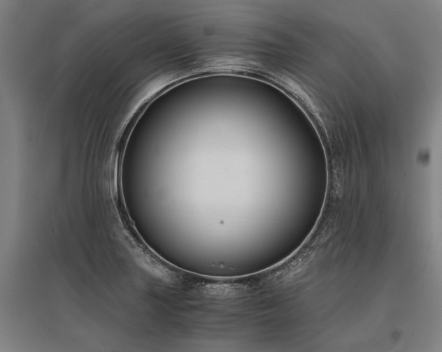 X0000096161227200801181217