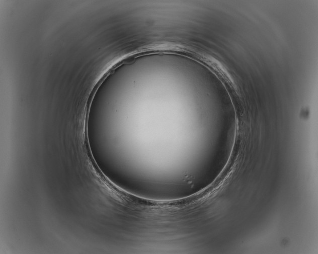 X0000096161228200801181217
