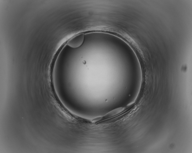 X0000096161230200801181217