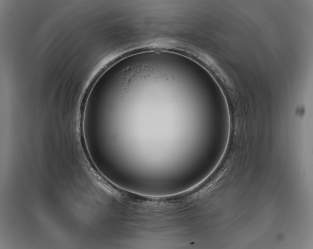 X0000096161232200801181217