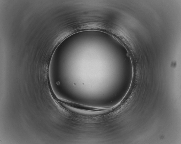 X0000096161233200801181217