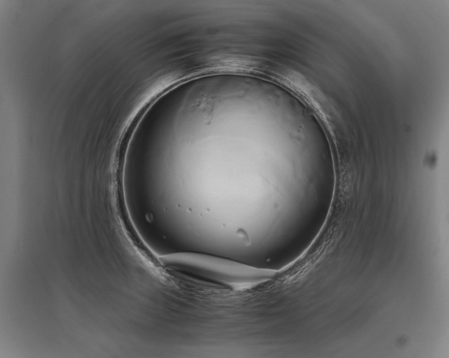 X0000096161235200801181217