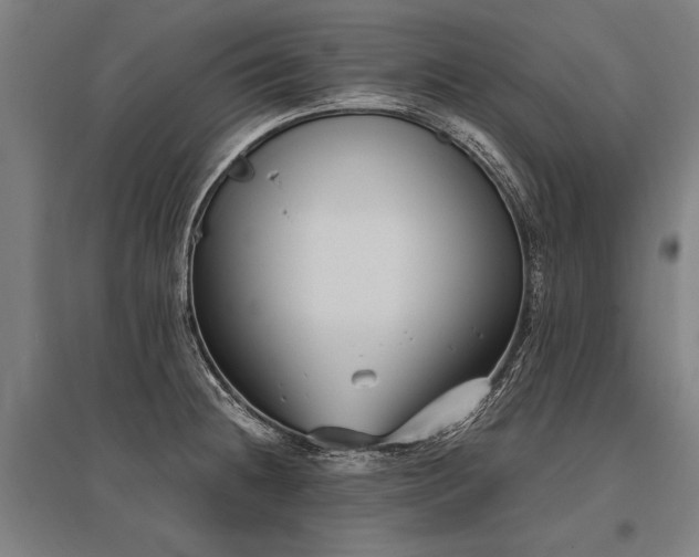 X0000096161236200801181218
