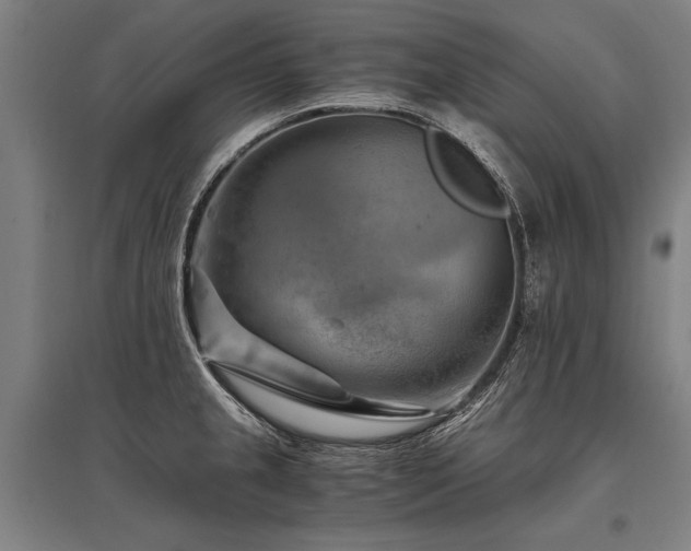 X0000096161237200801181218