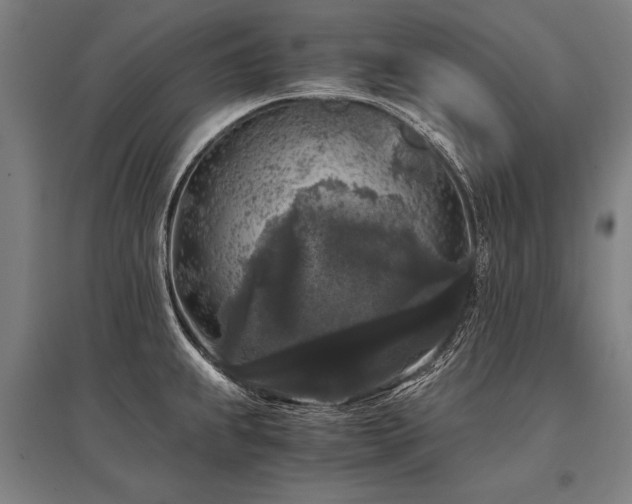 X0000096161239200801181218