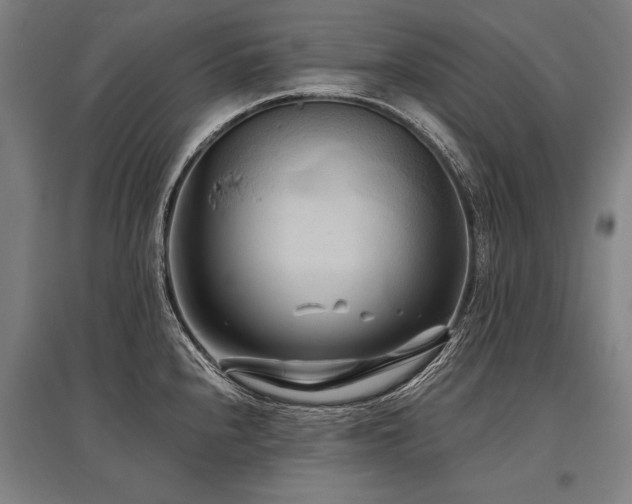 X0000096161240200801181218