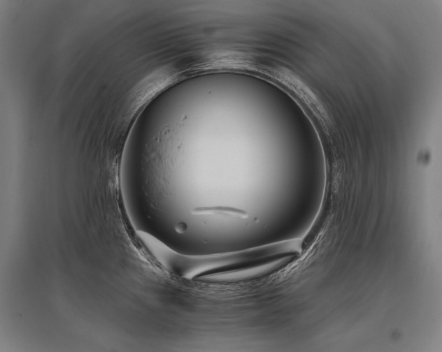 X0000096161241200801181218