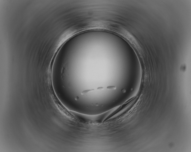 X0000096161242200801181218
