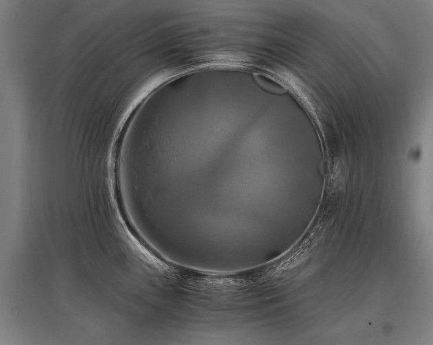 X0000096161243200801181218