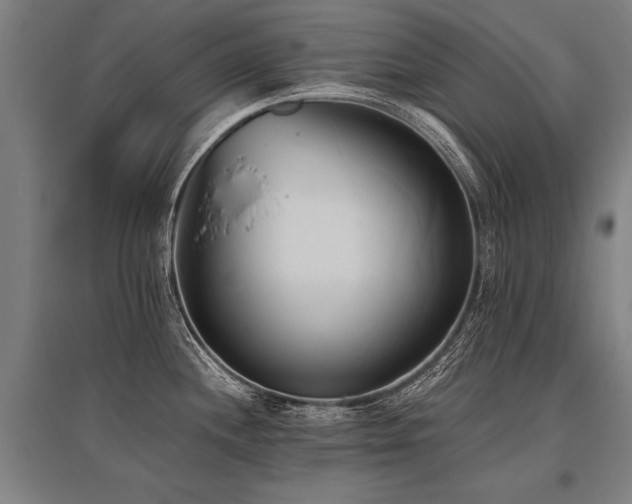 X0000096161244200801181218