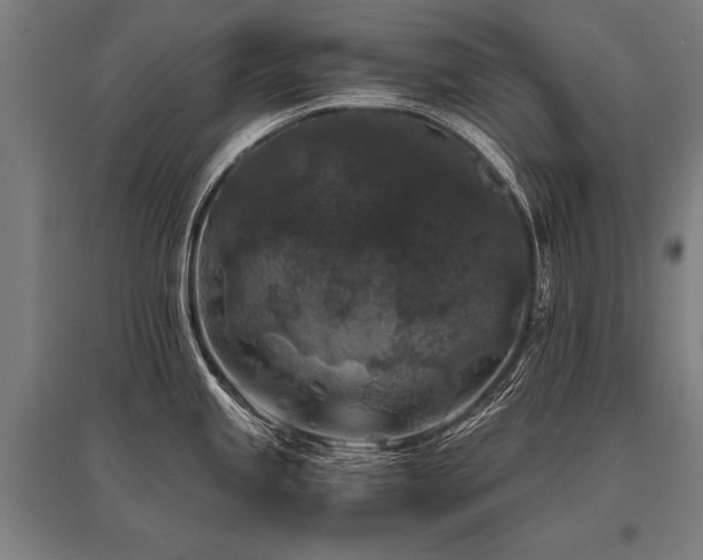 X0000096161245200801181218