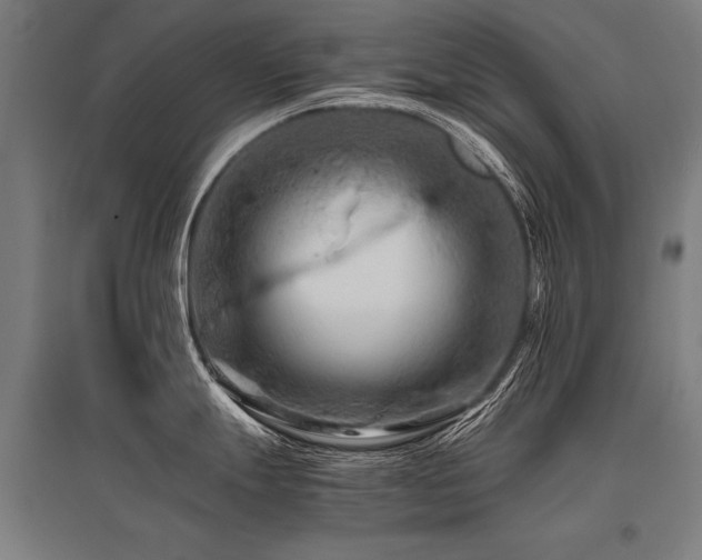 X0000096161247200801181218