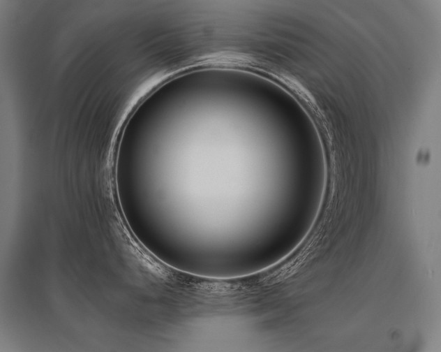 X0000096161248200801181218