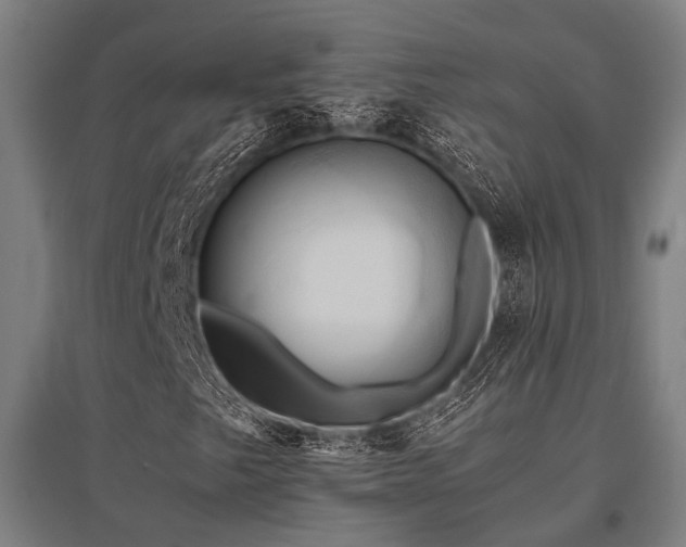 X0000096161249200801181217