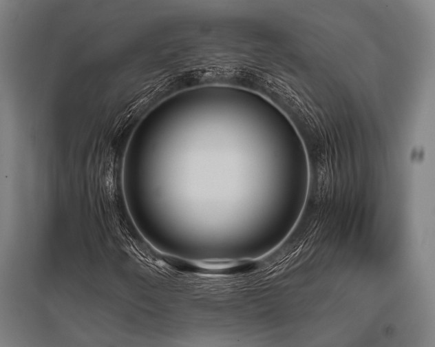 X0000096161250200801181217