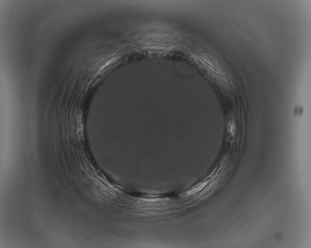 X0000096161252200801181217