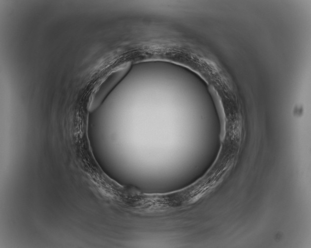 X0000096161253200801181217
