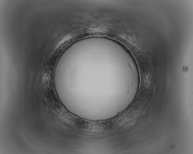 X0000096161254200801181217