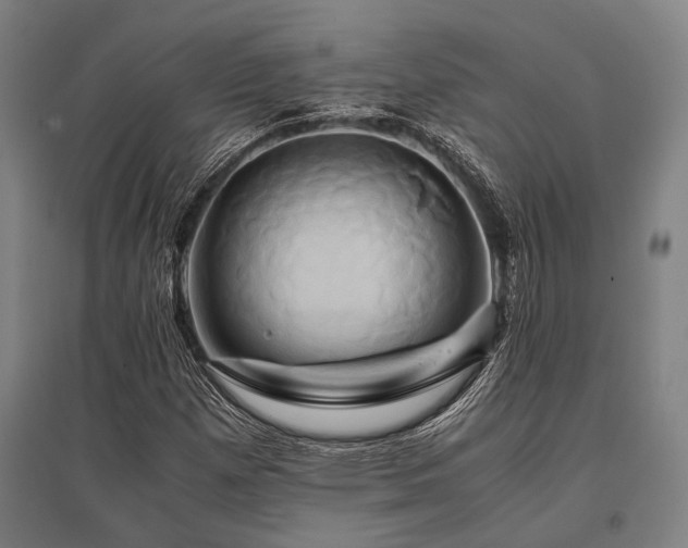 X0000096161257200801181217