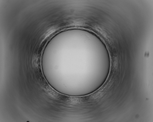 X0000096161258200801181217