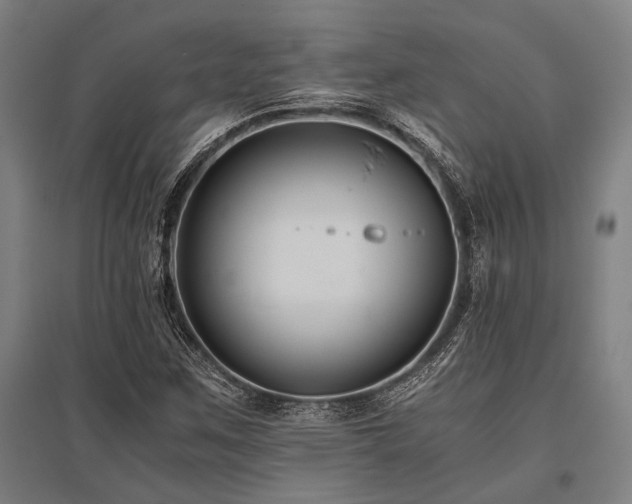 X0000096161259200801181217