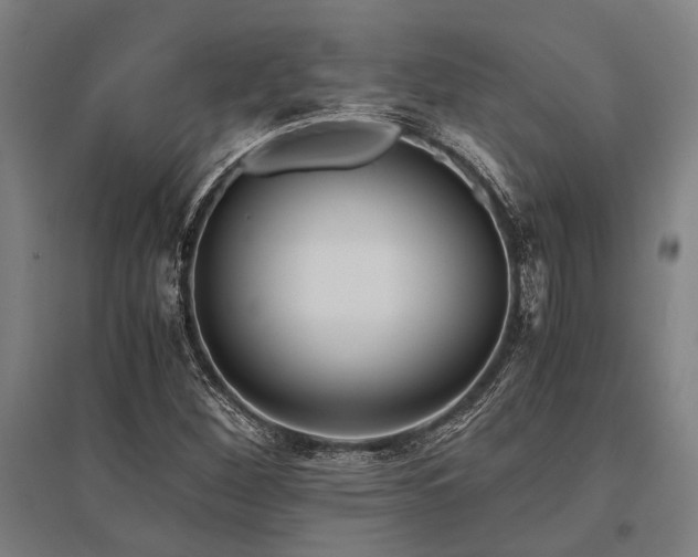 X0000096161260200801181217