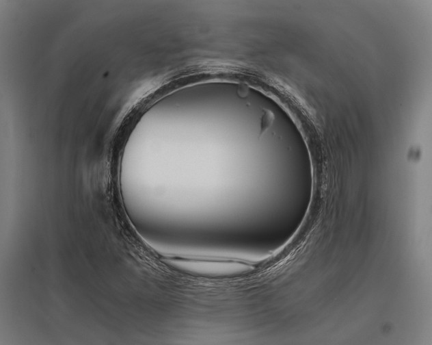 X0000096161261200801181217