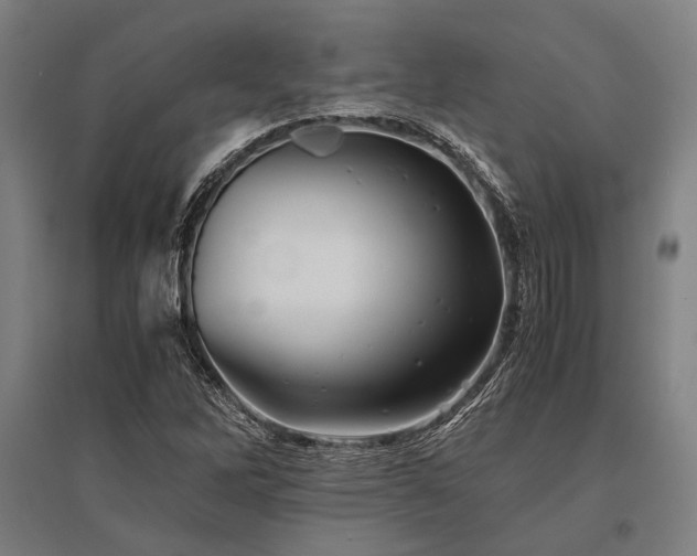 X0000096161262200801181217