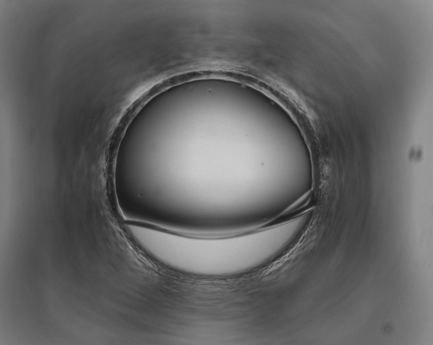 X0000096161264200801181217