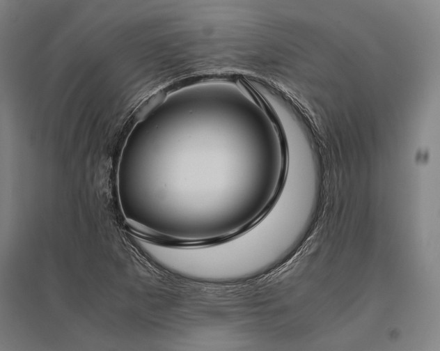 X0000096161265200801181217