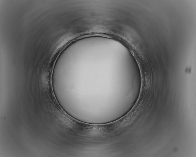 X0000096161266200801181217