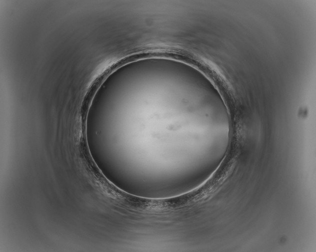 X0000096161267200801181217
