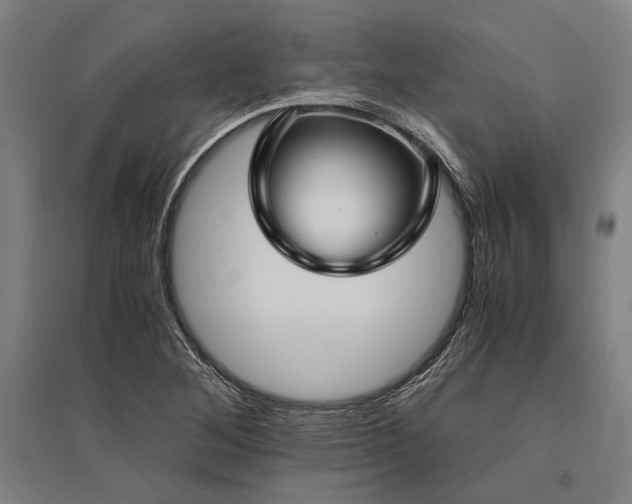 X0000096161268200801181217