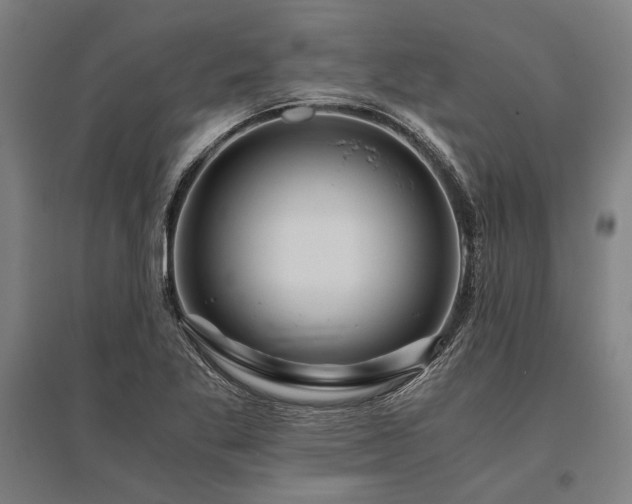 X0000096161269200801181217