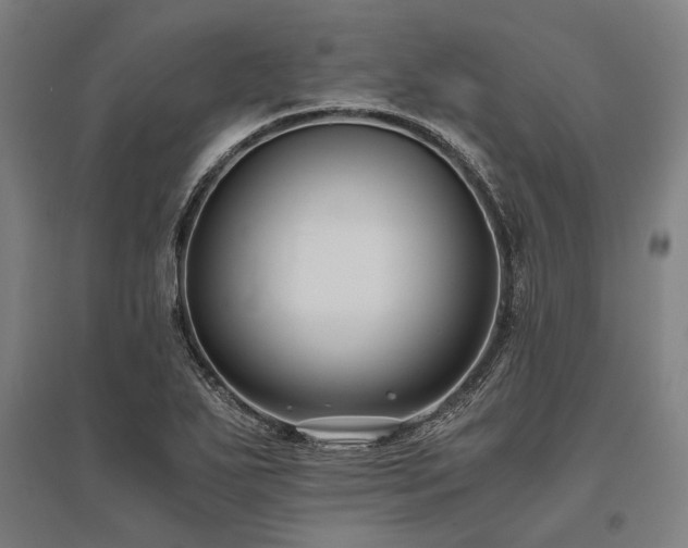 X0000096161271200801181217